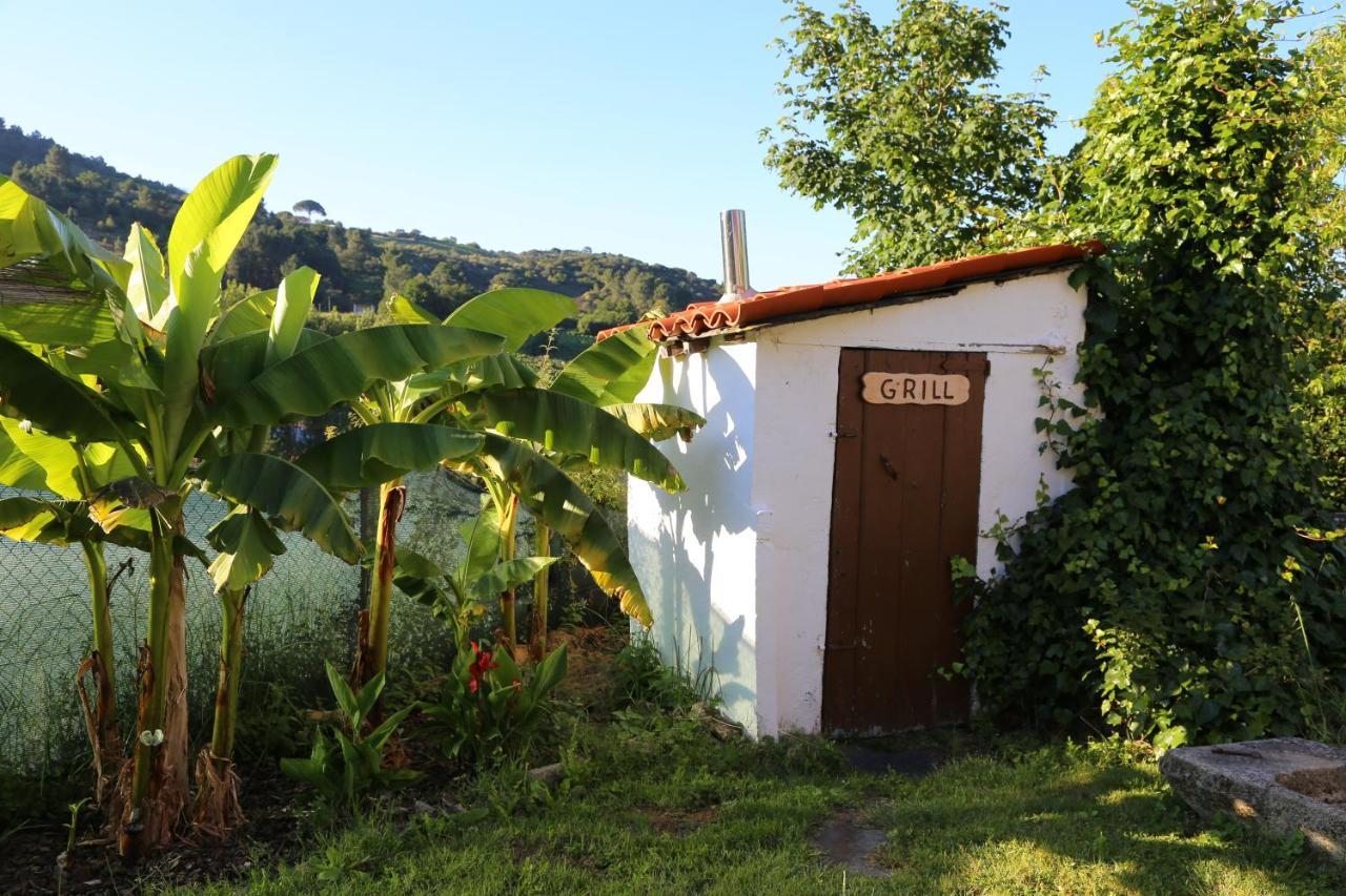 Casa Dodo Ferienhaus Castro Caldelas