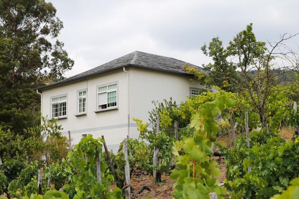 Casa Dodo Ferienhaus *