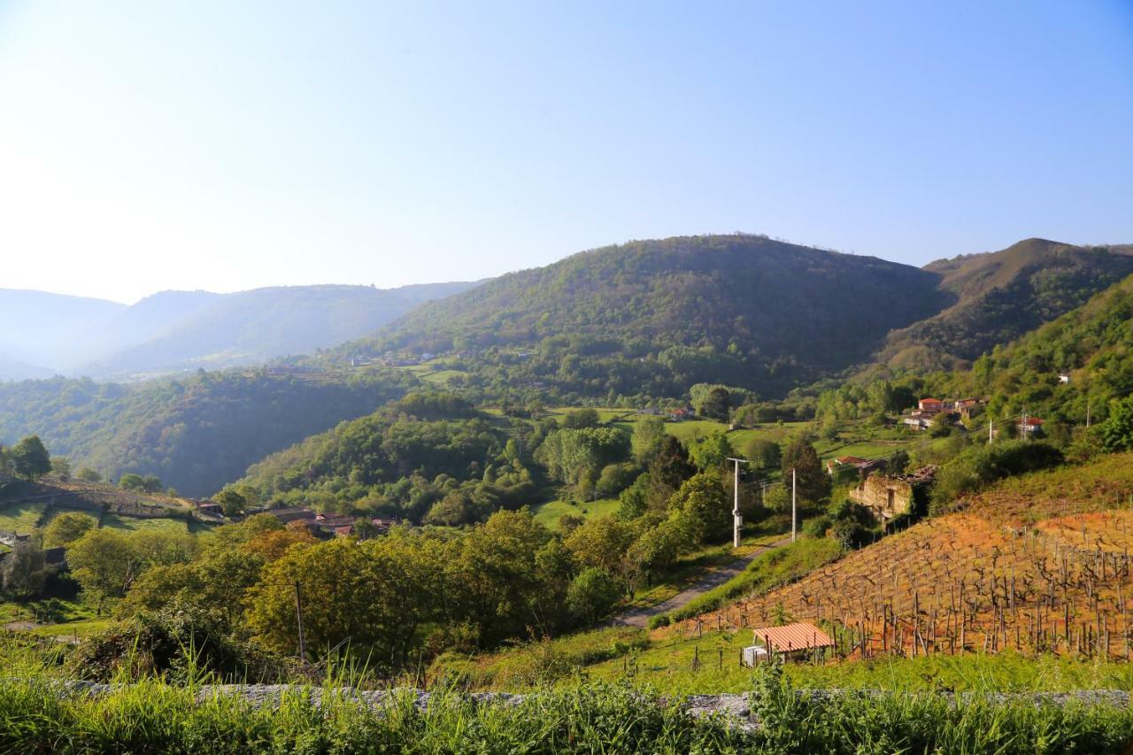 Hébergement de vacances Casa Dodo *
