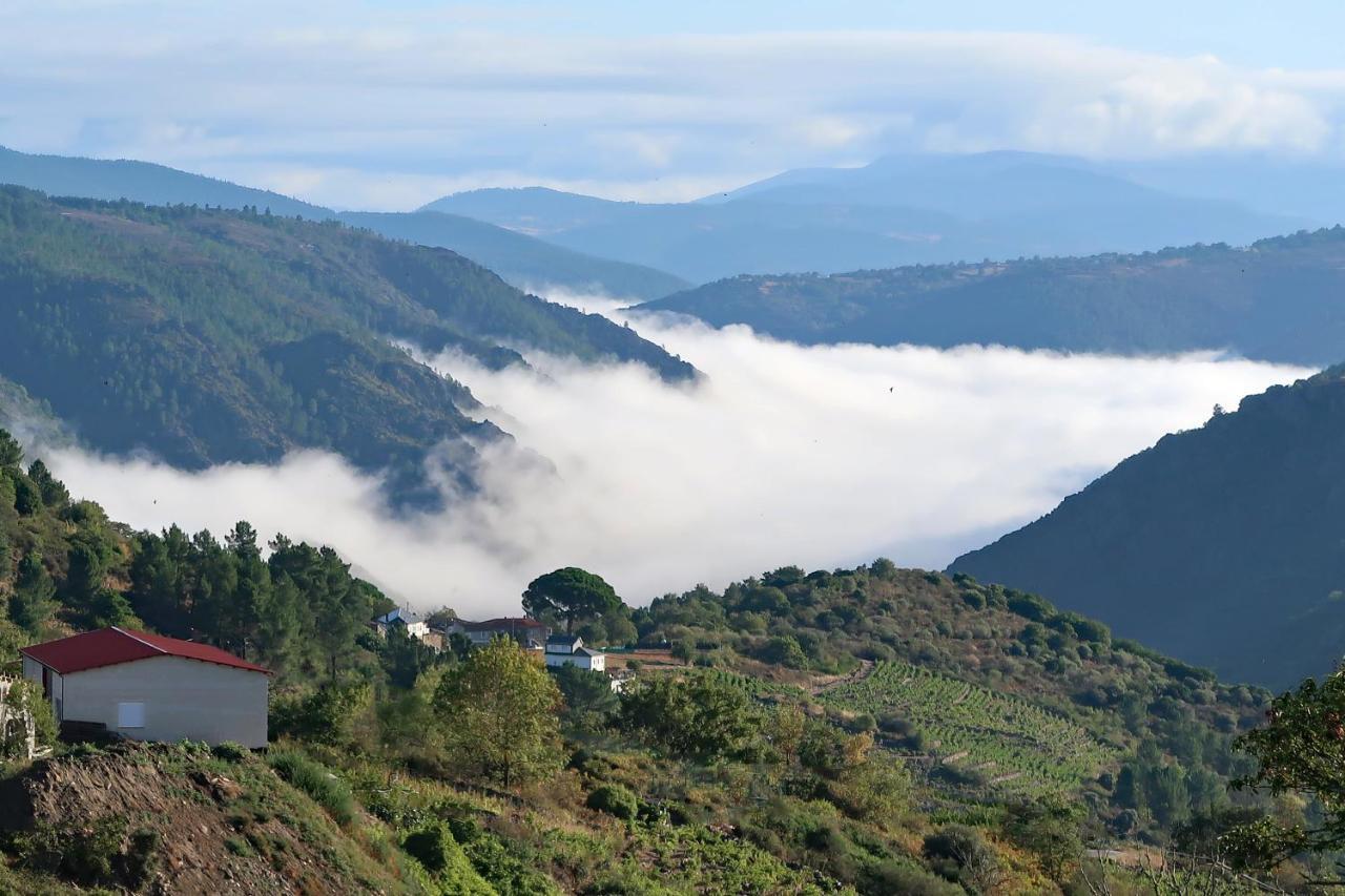 Casa Dodo Hébergement de vacances *